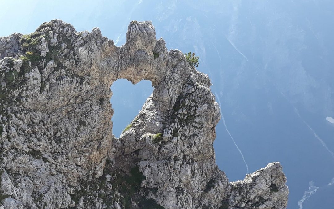 PERMETTI A TUTTO CIÒ CHE ESISTE DI ESISTERE